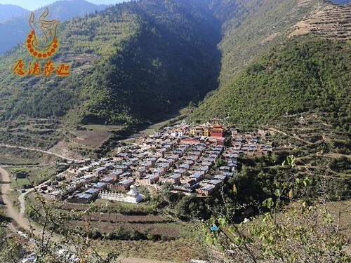 白古圣药藏香（特级，含甘露）寺院制作手工纯天然 药香百元包邮 - 图2