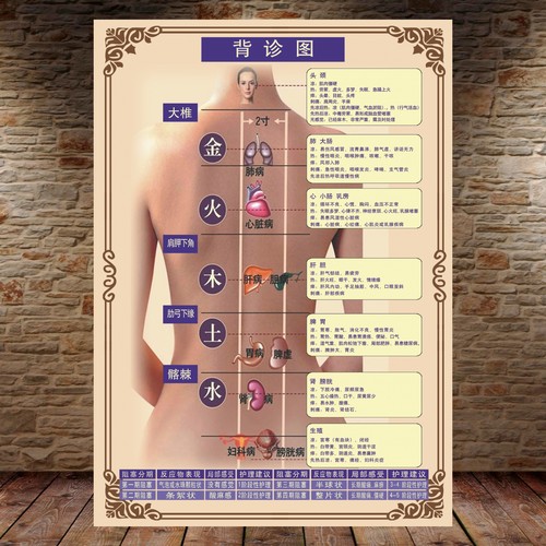 定制背诊图美容院中医养生馆宣传贴画五脏六腑背部反射区自粘海报 - 图0