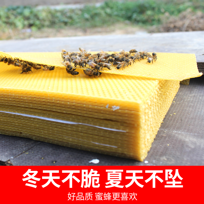 中蜂巢础正品深房巢础片蜜蜂巢皮养蜂工具蜂蜡巢基中锋巢脾大全-图1