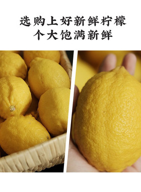 柠檬纯露补水保湿嫩肤收缩毛孔