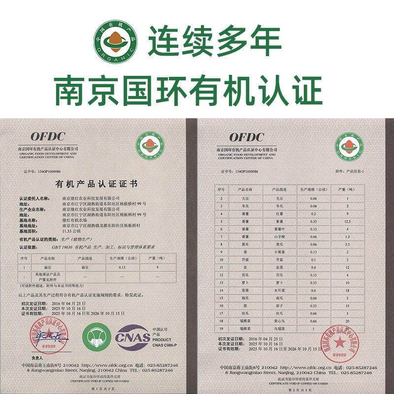 南京继红有机紫玉水果胡萝卜新鲜现挖脆甜生吃紫皮黄心紫色老品种,淘宝优惠券,粉丝福利购,淘宝优惠卷