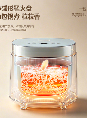 日本安本素电饭煲家用低糖