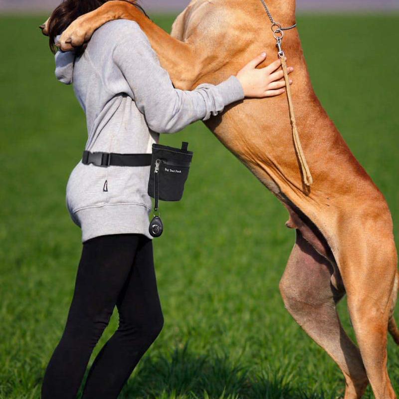 宠物零食袋训犬包训狗腰包响片犬笛奖励狗狗多功能外出训练便携式 - 图0