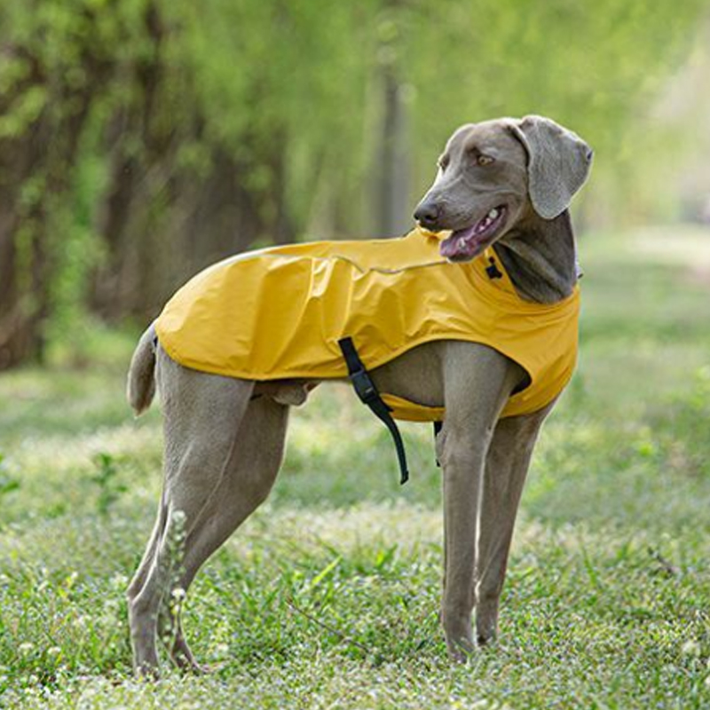 宠物狗狗雨衣 中大型犬雨披带帽防水防风冲锋衣魏玛猎犬户外服 - 图2