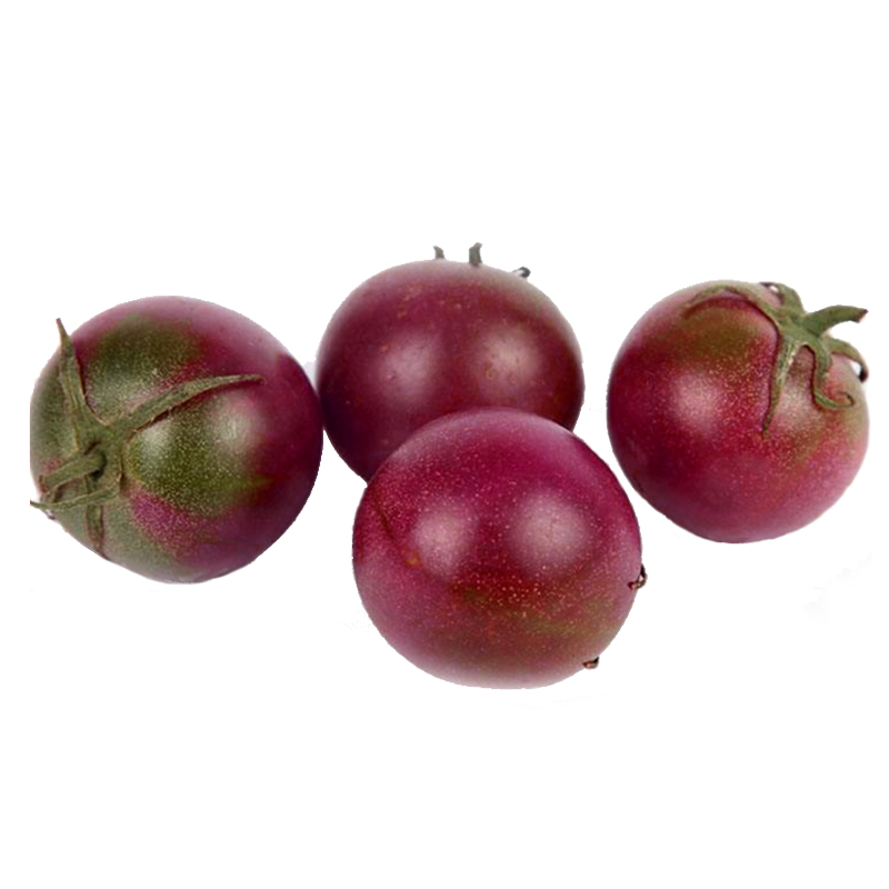 紫珍珠樱桃番茄种子圣女果小西红柿盆栽大田春夏播水果蔬菜种孑籽