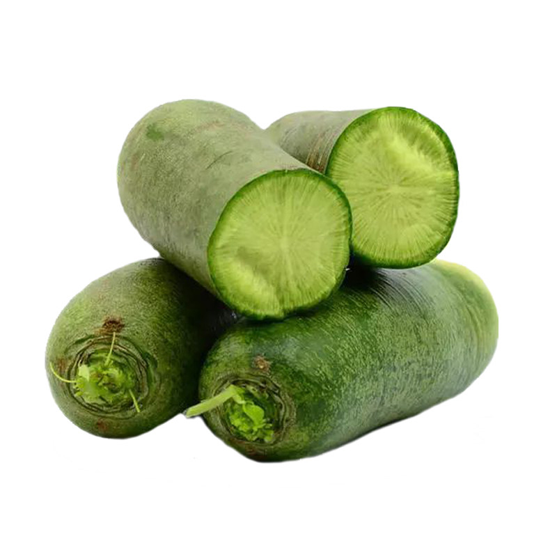 生吃青绿肉潍县沙窝冰糖甜脆水果萝卜种子庭院盆栽秋冬蔬菜种籽孑_虎窝淘