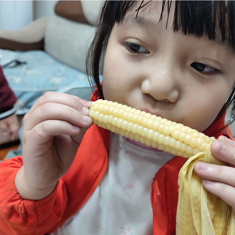 西双版纳雨林情怀拇指小玉米带叶带壳宝宝辅食非转基因低脂真空装 - 图1