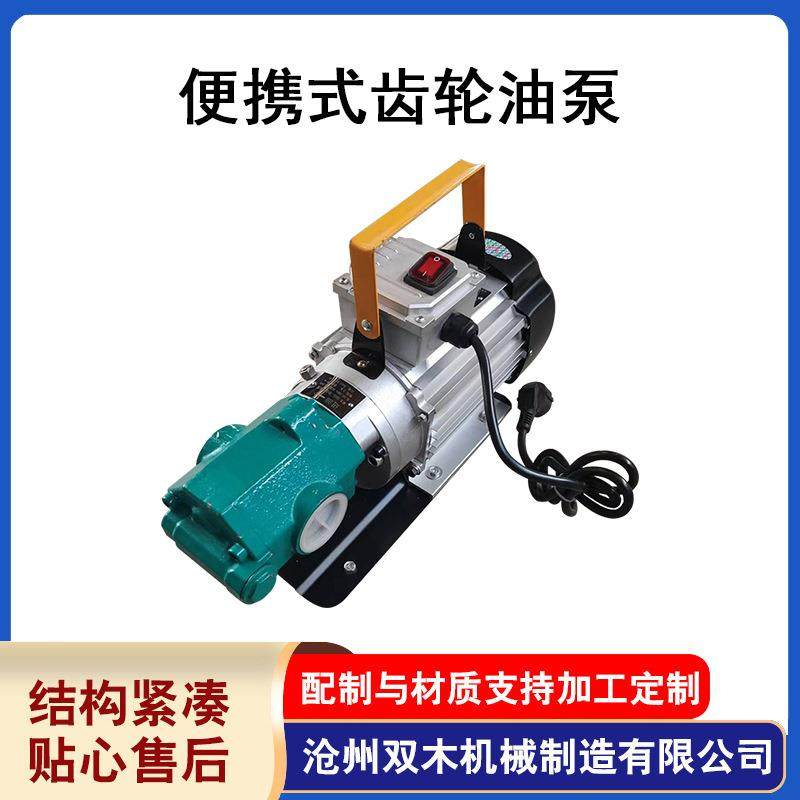 便携式齿轮油泵小型电动抽油泵柴油机油自吸齿轮泵小型不锈钢泵 - 图2