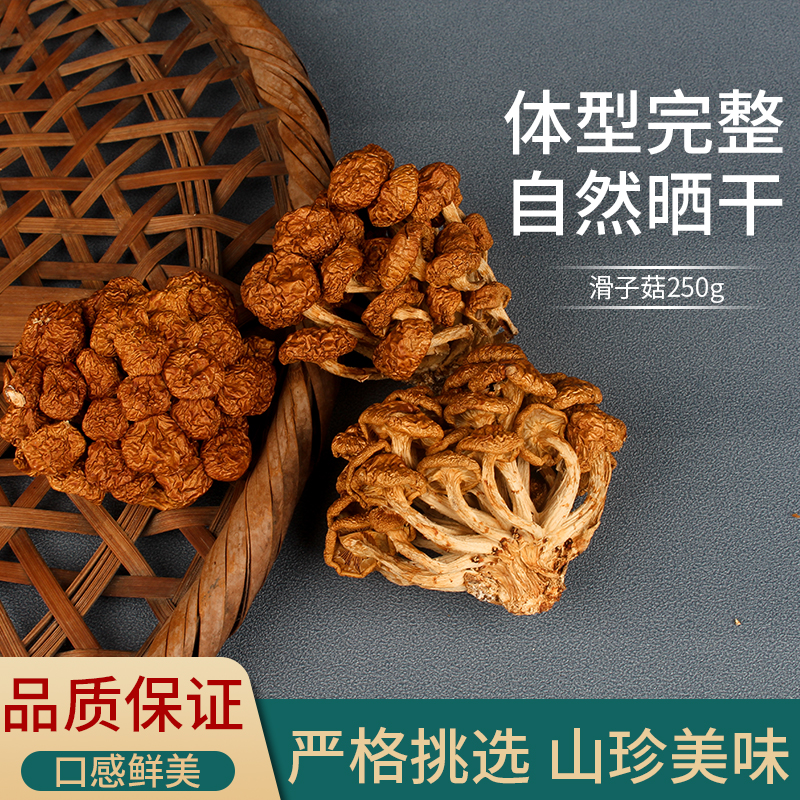 云南特产滑子菇干货250g农家自种新货新鲜小黄菇食用蘑菇口感好-图1