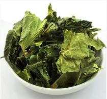 Chinese herbal medicine creamy mulberry leaf dry mulberry leaf powder winter mulberry leaf tea 500 gr send freight risk