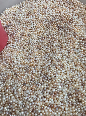 北海天然淡水珍珠散珠称斤珍珠粉