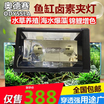 Odyssey 70W Brocade Carp Color Gold Halogen Lamp 150W Water Grass Halogen Brocade Carp Burst Algae Clip Lamp Halogen Gold Halogen Pendant Lamp