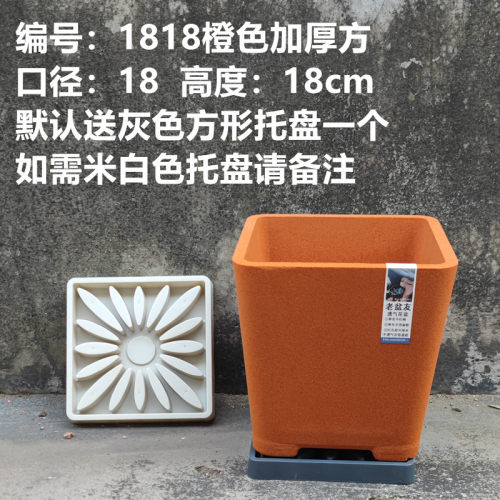 老盆友1818透气花盆XTOU会呼吸的兰花老桩多孔陶瓷红陶紫砂君子兰 - 图0
