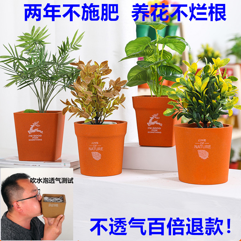 老盆友透气花盆1111出口1313简约XTOU养多肉不烂根兰花多孔陶瓷 - 图0