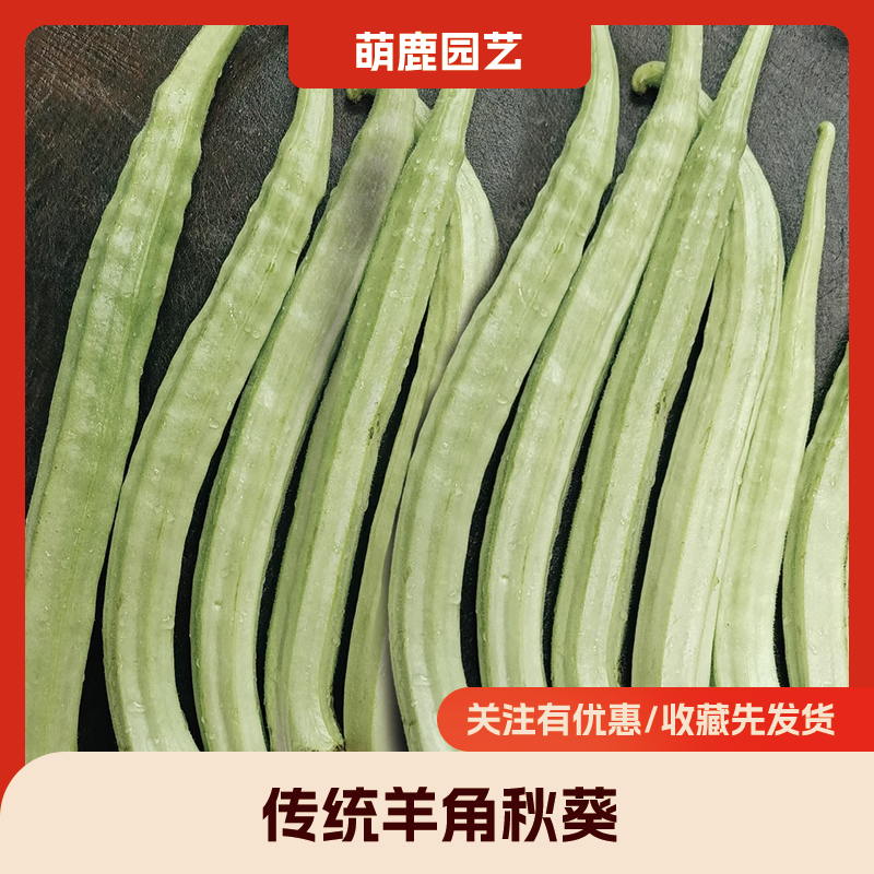 羊角秋葵种子 四季播 高发芽率 新手易种 阳台盆栽露天食用秋葵籽,淘宝优惠券,粉丝福利购,淘宝优惠卷