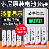 Sony rechargeable battery 4600mah Large capacity 5 Number 7 toy ktv microphone remote control battery rechargeable