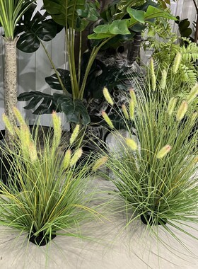 仿真狗尾草团小草蒲草球枯草造景