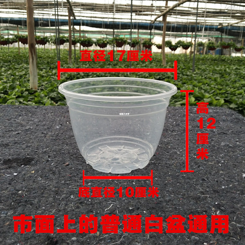 绿萝盆栽自动吸水盆懒人塑料透明盆自吸盆多肉园艺花盆套装外罩盆,淘宝优惠券,粉丝福利购,淘宝优惠卷