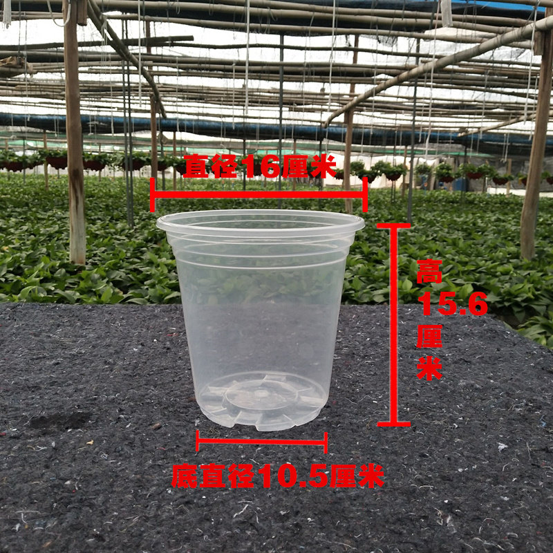 绿萝盆栽自动吸水盆懒人塑料透明盆自吸盆多肉园艺花盆套装外罩盆,淘宝优惠券,粉丝福利购,淘宝优惠卷