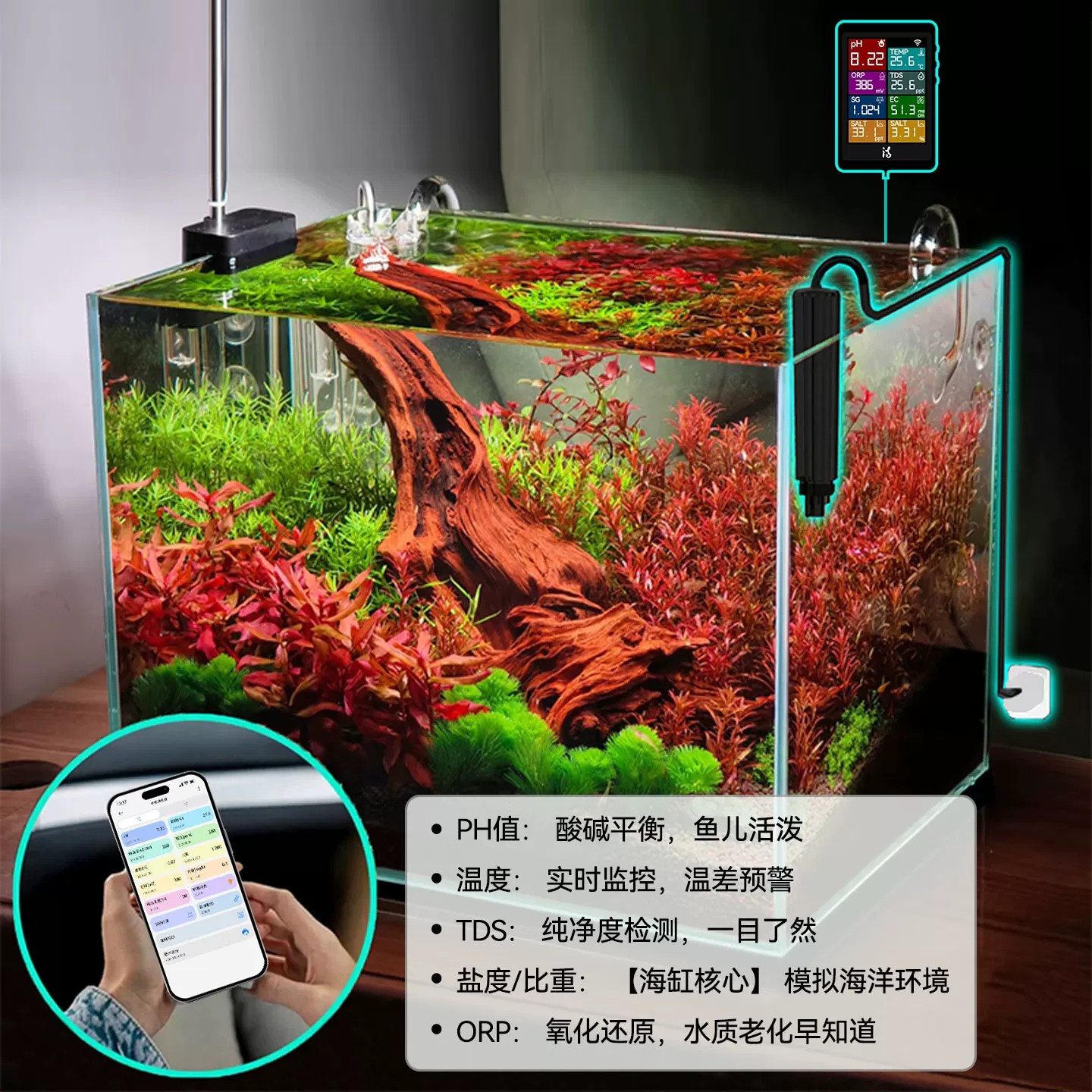 图5