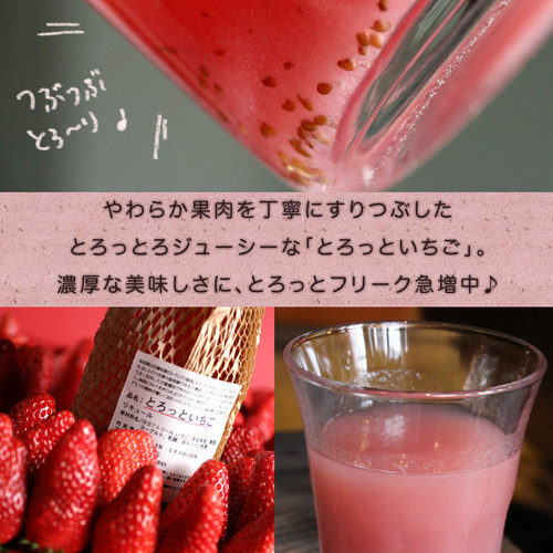 日本进口北岗本店特浓草莓酸奶酒秋姬草莓果酒 女士低度甜酒720ml - 图2