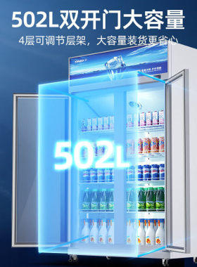 星星冰柜商用立式展示柜双门多门超市便利店饮料柜啤酒柜冷藏柜