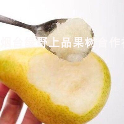 太婆梨树苗香软茄梨子香蕉梨葫芦梨软大头梨当年结果南方北方种植 - 图3