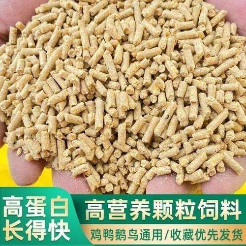 家庭农场鸡鸭鹅通用家禽下蛋鸡蛋鸭颗粒饲料高蛋白营养配方促生长 - 图1