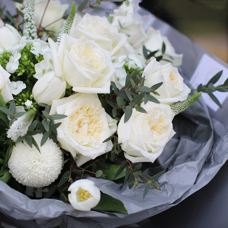 白色奥哈娜浓果香味白色玫瑰花大苗盆栽室内阳台庭院盆栽花卉绿植,淘宝优惠券,粉丝福利购,淘宝优惠卷