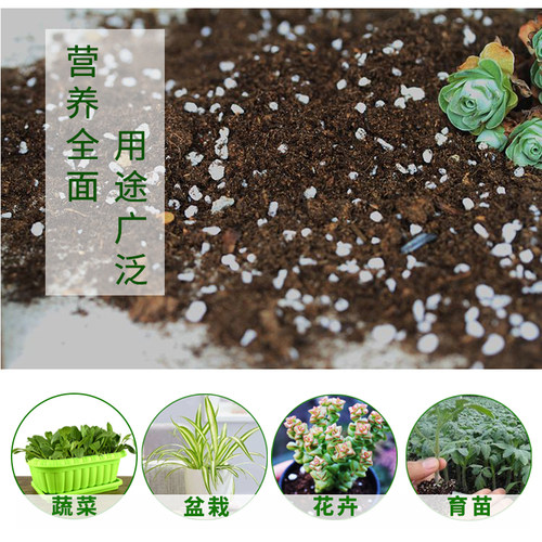 营养土养花种花种菜有机土壤通用型家用种植土多肉花土陶粒珍珠岩 - 图0