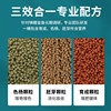 Fish food goldfish koi fish feed small particle fish food tropical ornamental fish household small goldfish special floating color