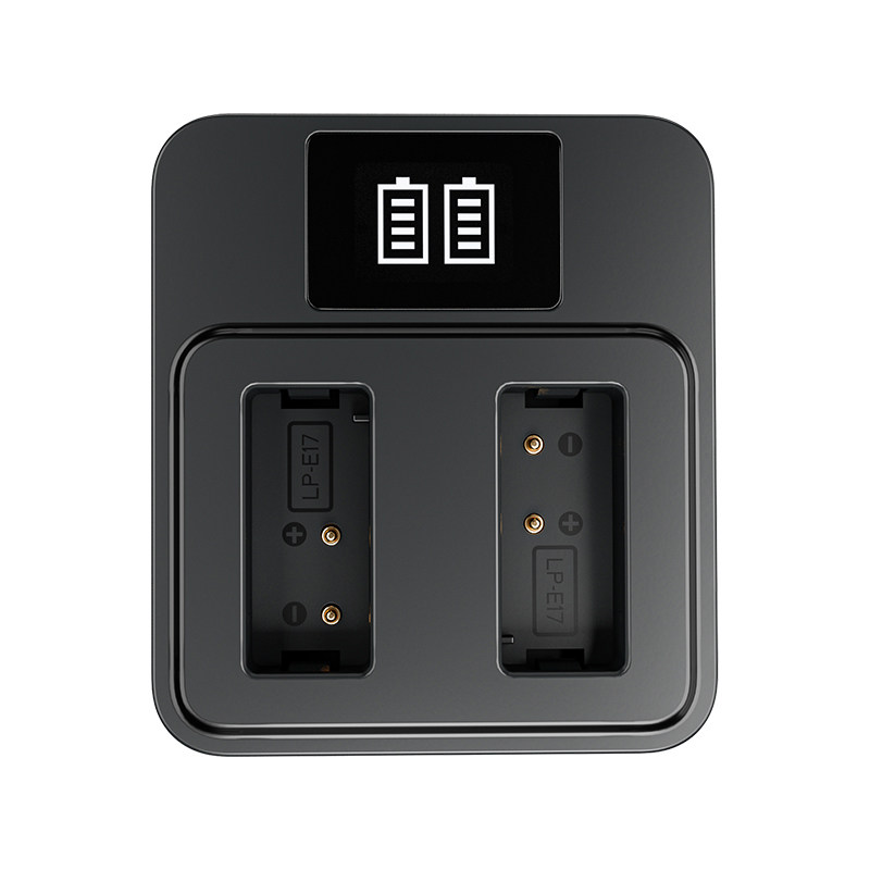 PATONA Platinum LP-E17 USB Akku 1000mAh für Canon EOS RP, R10