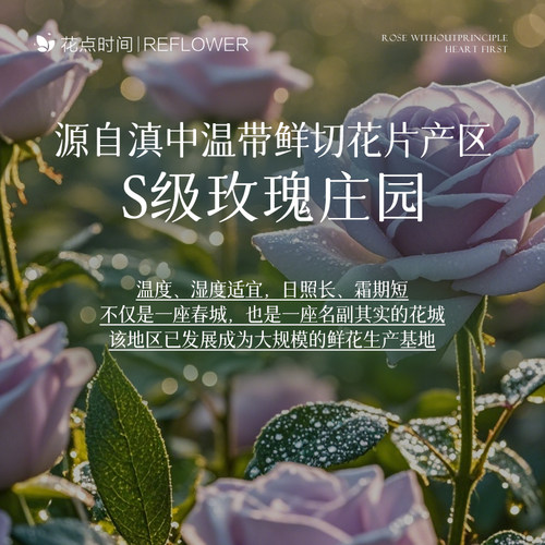 花点时间海洋之心紫色玫瑰花鲜花送女友情人节礼物基地直发束水养 - 图3