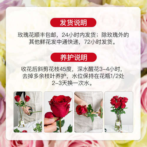 A级玫瑰花鲜花梦金鹏云南基地直发百合花卉家用鲜切花束弗洛伊德A - 图3