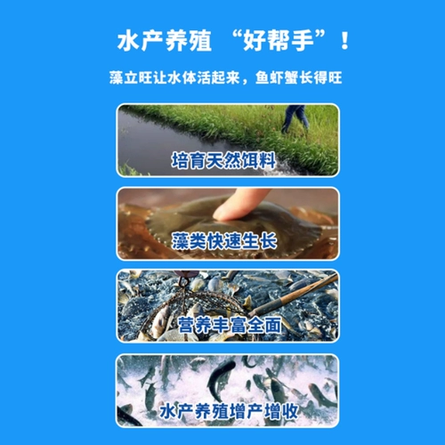 Водные водоросли водорослей водоросли гидросоковые водоросли регулируют рыб, креветки и крабов.