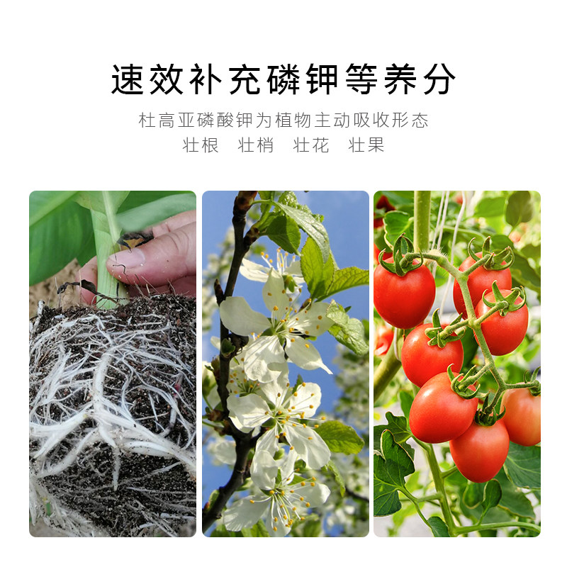 杜高亚磷酸钾叶面肥农用抗病抑菌壮花壮果水溶肥料果树蔬菜冲施肥,淘宝优惠券,粉丝福利购,淘宝优惠卷