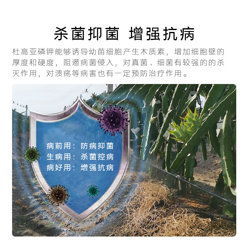杜高亚磷酸钾叶面肥农用抗病抑菌壮花壮果水溶肥料果树蔬菜冲施肥,淘宝优惠券,粉丝福利购,淘宝优惠卷