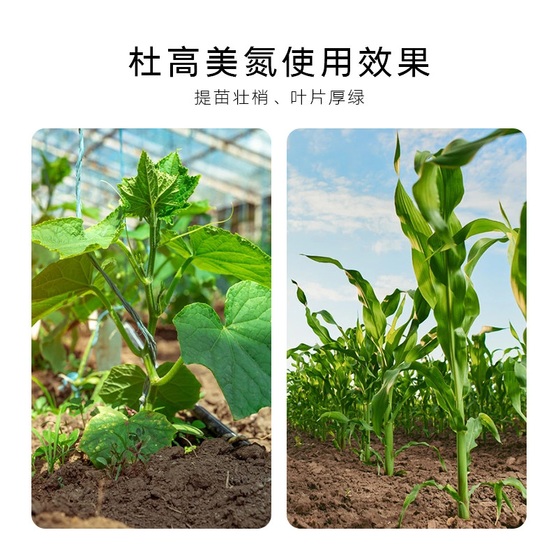 杜高氮肥大量元素水溶肥料高氮型壮苗绿叶蔬菜西瓜葡萄专用叶面肥,淘宝优惠券,粉丝福利购,淘宝优惠卷