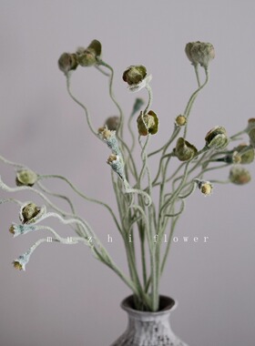 禅意绿色花苞枝仿真花