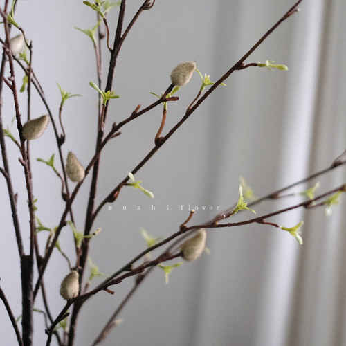 侘寂风逼真银柳枝仿真花柳条嫩叶装饰家居客厅插花桌面花艺摆件 - 图3