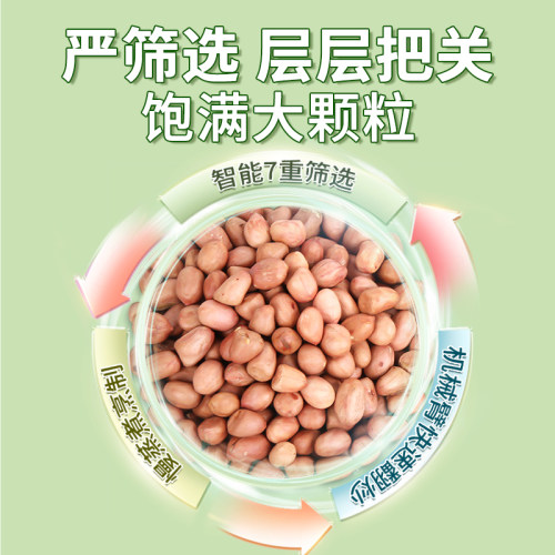 恒康食品 椒盐花生米155g袋装 炒花生仁坚果休闲零食小吃下酒菜 - 图1