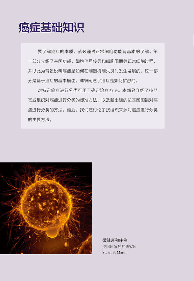 新书 肿瘤免疫疗法和靶向治疗 第二2版 王新星 孙鹏 戴晓萍 肿瘤学治疗方法药物癌症靶向治疗mRNA技术CRISPR技术书籍癌症诊断分类