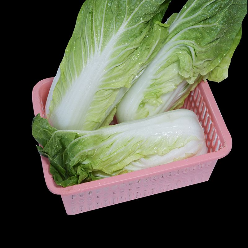 东北新鲜沈阳黄心大白菜农户种植小青菜可做辣白菜酸菜包黄心菜 - 图0