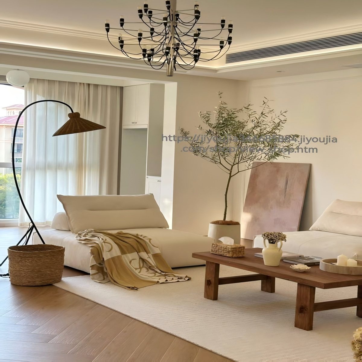 油橄榄树大型盆栽室内客厅绿植好养活办公室花卉盆景乔迁开业植物,淘宝优惠券,粉丝福利购,淘宝优惠卷