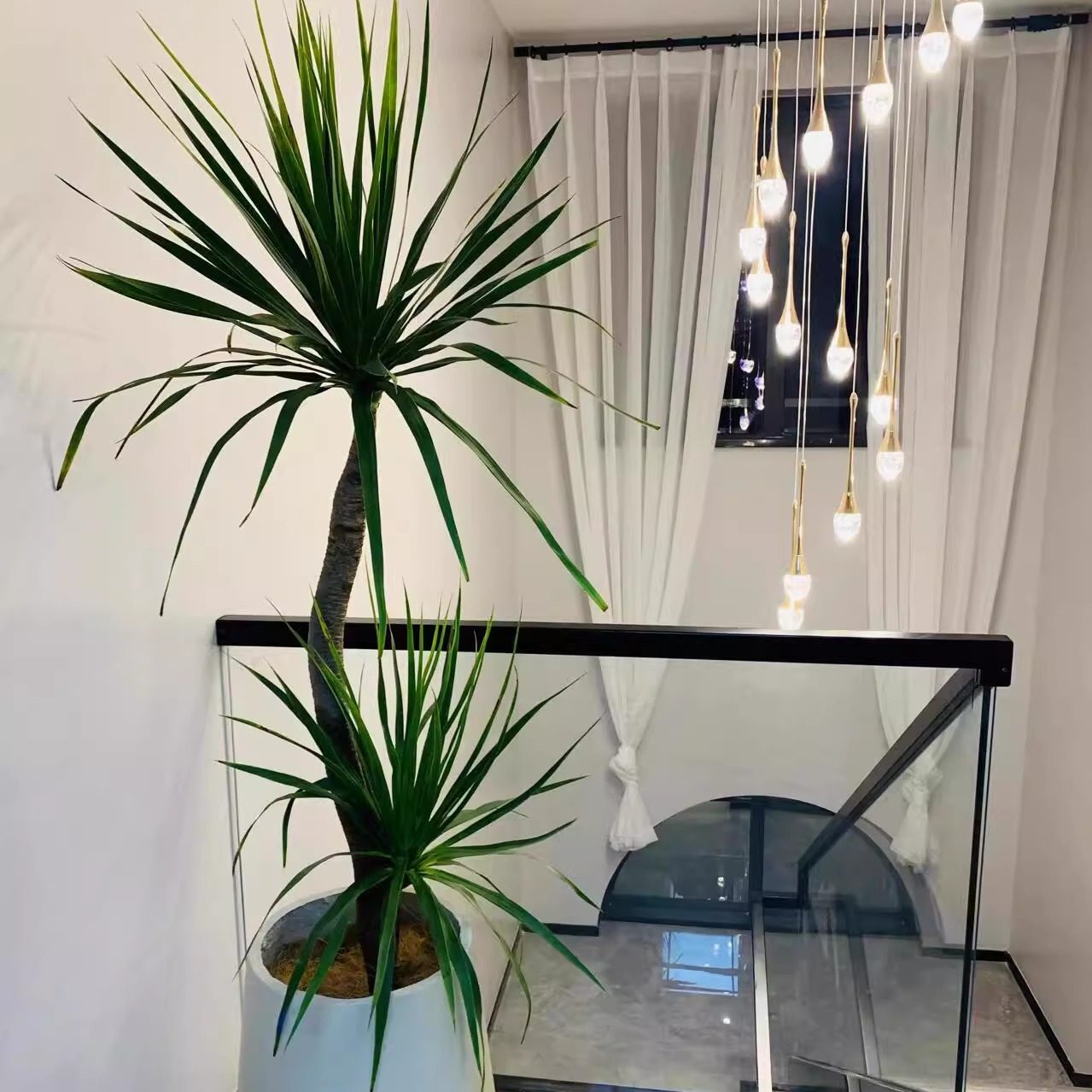 龙血树客厅绿植室内盆栽大型办公室植物龙须树好养净化空气除甲醛,淘宝优惠券,粉丝福利购,淘宝优惠卷