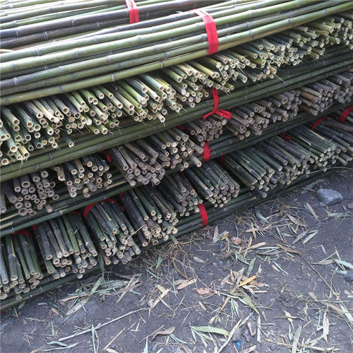 竹竿架种菜园搭架豆角架蔬菜爬藤粗细小竹竿彩旗杆细竹子篱笆栅栏 - 图0