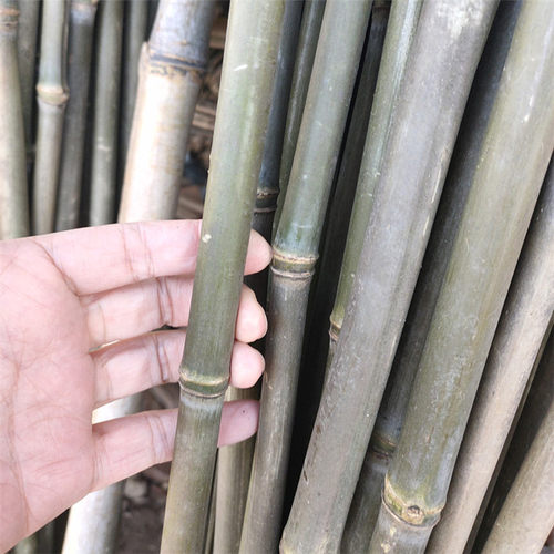 竹竿架种菜园搭架豆角架蔬菜爬藤粗细小竹竿彩旗杆细竹子篱笆栅栏 - 图1
