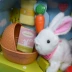 Đồ chơi Hàn Quốc chính hãng Rabbi Rabbit Pet Pet Rabbit Rabbit House House Xiaoyan Toy Girl Birthday Gift - Đồ chơi gia đình lego con gái Đồ chơi gia đình