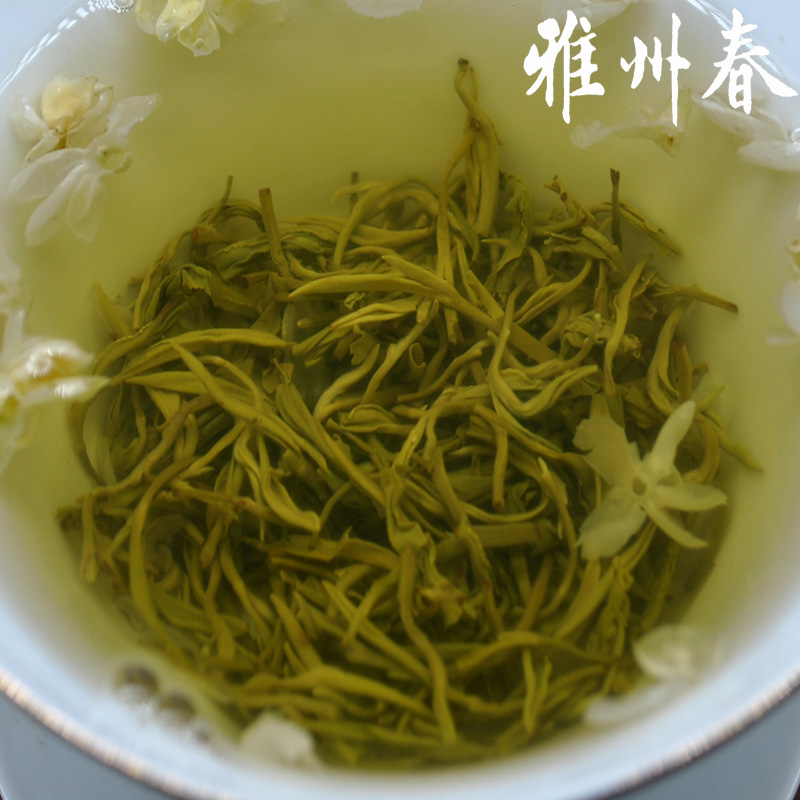 茉莉花茶嫩芽2024新茶特级浓香四川花毛峰雅州春飘雪蒙顶山茶500g