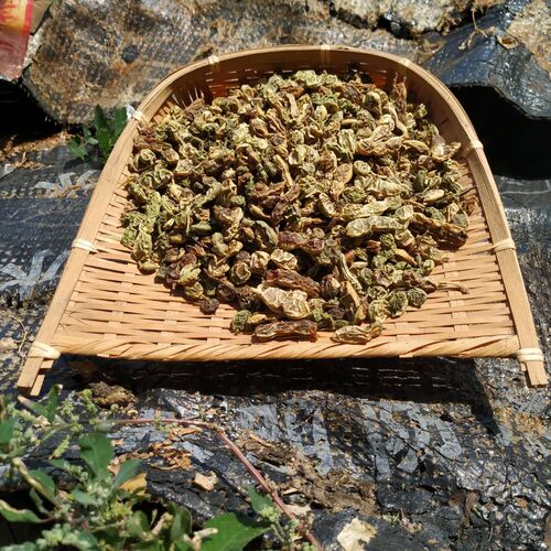 野生槐角中药材500克 槐连豆槐实槐豆槐连豆槐树豆槐子非炒槐角茶 - 图2